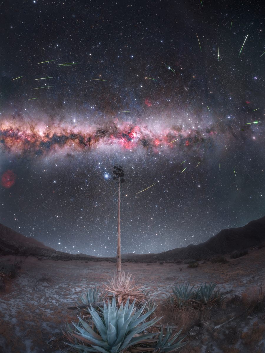 Perseids Over Anza-Borrego